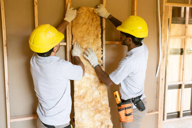 Best Cellulose Insulation  in Franconia, VA